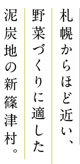 札幌からほど近い、野菜づくりに適した泥炭地の新篠津村。